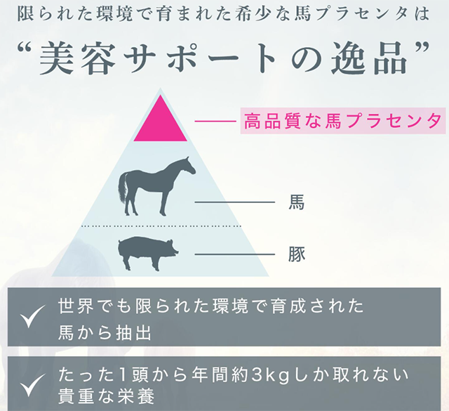 馬プラセンタ