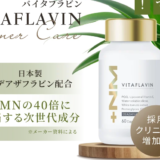 VITAFLAVINバイタフラビン