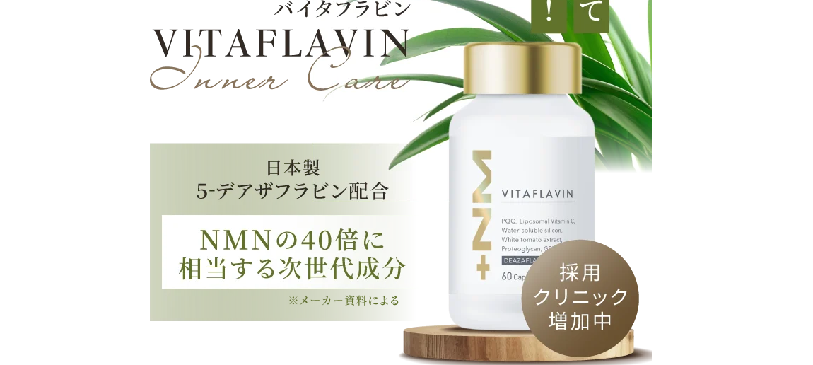 VITAFLAVINバイタフラビン